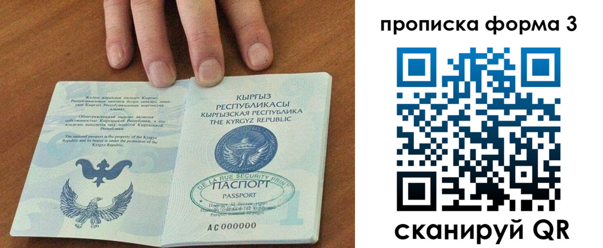 прописка 2025 в Касимове